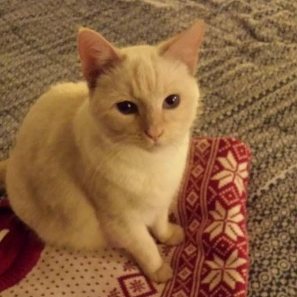 Meet your Posher, Linda